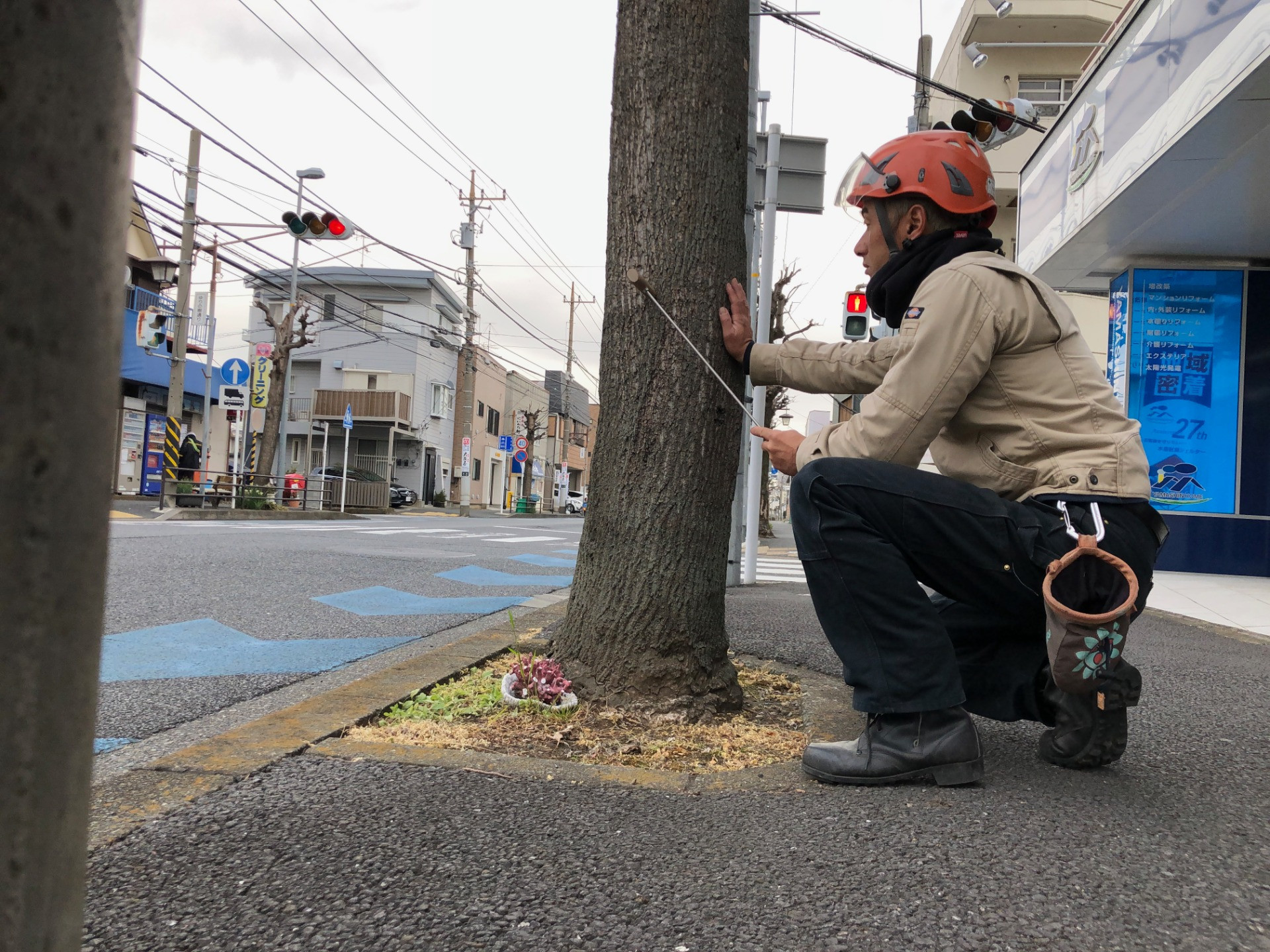 ?田樹木医合同会社