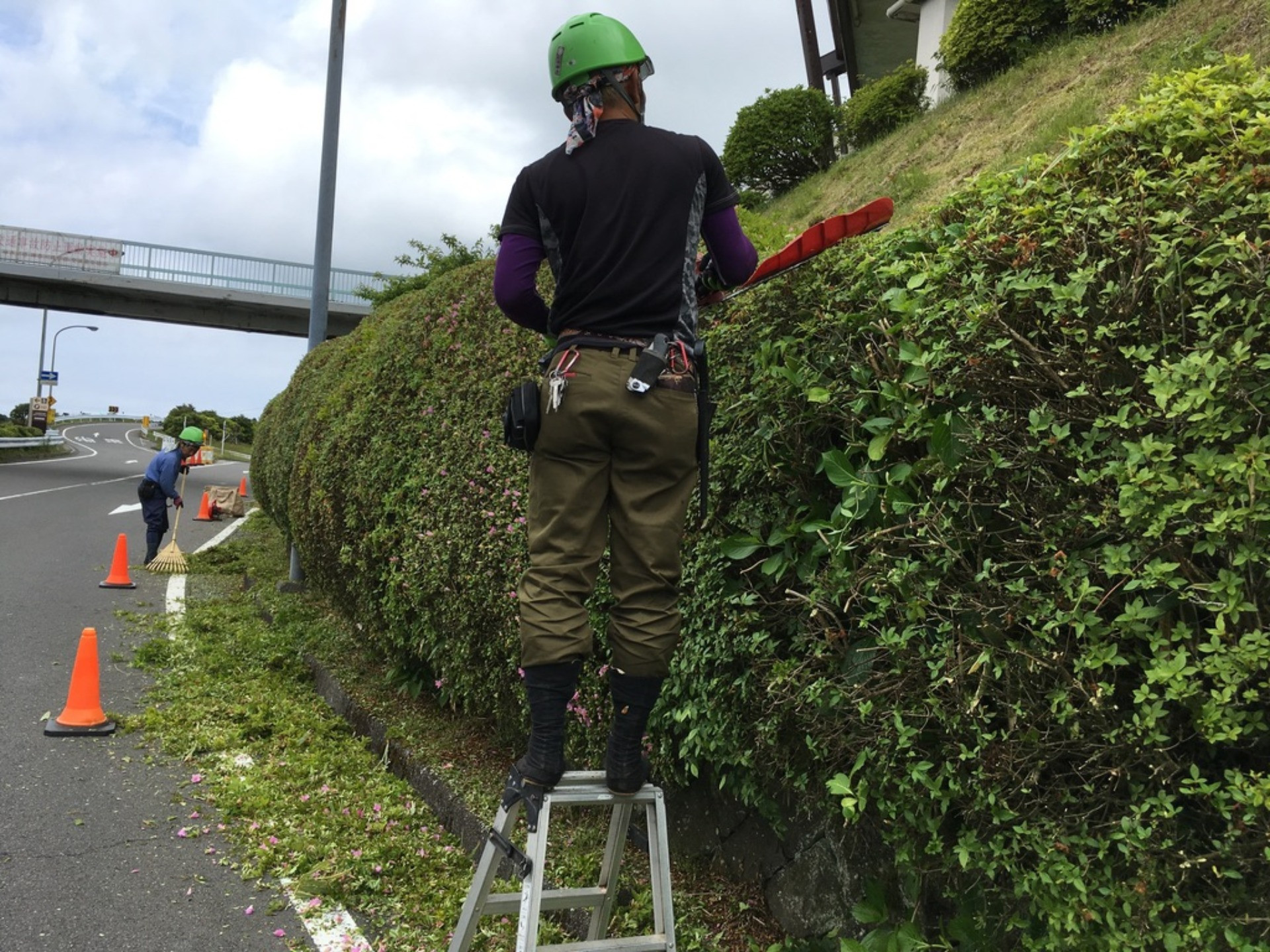 ?田樹木医合同会社